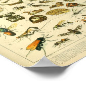  kleurensnijkunst afdrukken poster (Hoek)