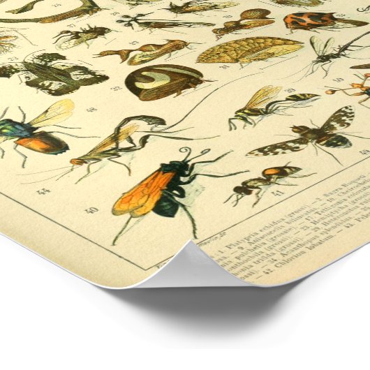  kleurensnijkunst afdrukken poster (Hoek)