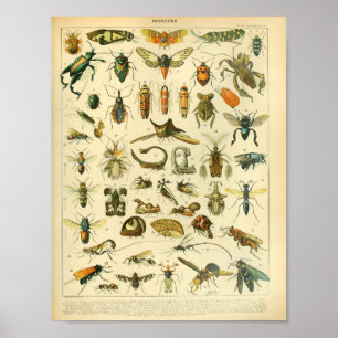  kleurensnijkunst afdrukken poster
