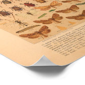  kleurensnijkunst afdrukken poster (Hoek)