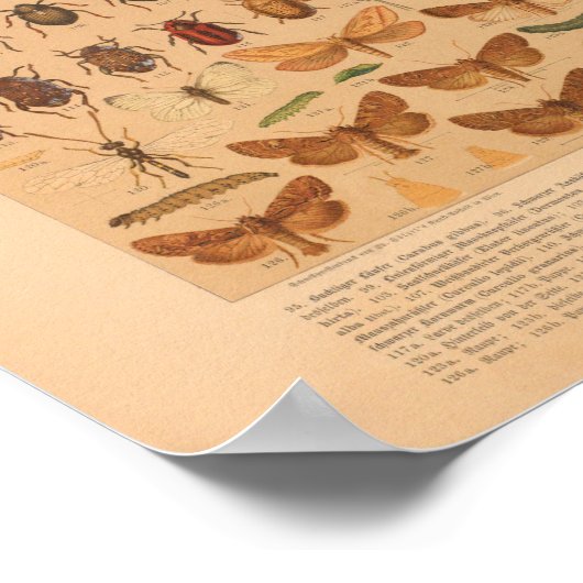  kleurensnijkunst afdrukken poster (Hoek)