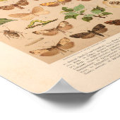  kleurensnijkunst afdrukken poster (Hoek)