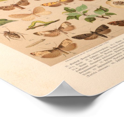  kleurensnijkunst afdrukken poster (Hoek)