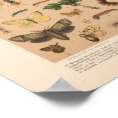  kleurensnijkunst afdrukken poster (Hoek)