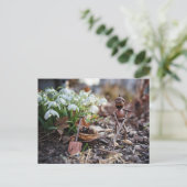 Kleurenveer met snowflake bloem briefkaart (Staand voorkant)