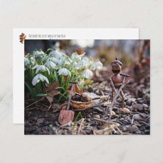 Kleurenveer met snowflake bloem briefkaart (Voorkant / Achterkant)