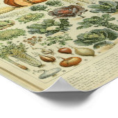  kleurenvegetatieve kunstafdrukken poster (Hoek)