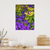 Kleurenveld Poster (Keuken)