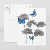 kleurenvelden briefkaart (Voorkant / Achterkant)