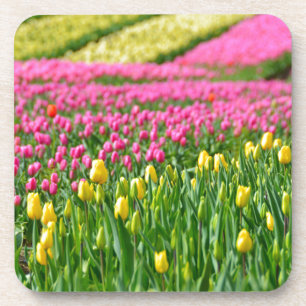 Kleurenvelden Drankjes Onderzetter