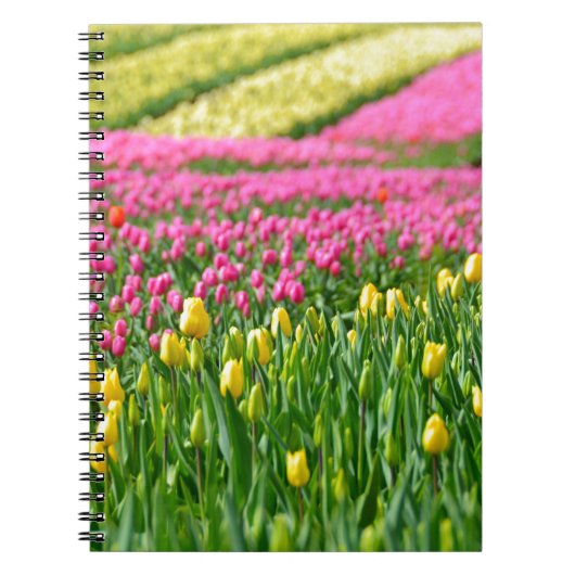 Kleurenvelden Notitieboek (Voorkant)