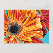 Kleurenverbranding II Briefkaart (Voorkant)