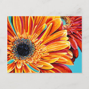 Kleurenverbranding II Briefkaart