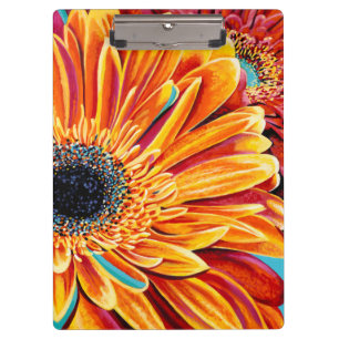 Kleurenverbranding II Klembord