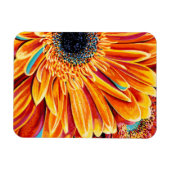 Kleurenverbranding II Magneet (Horizontaal)