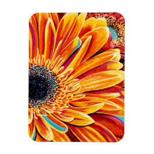 Kleurenverbranding II Magneet