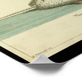 kleurenversmallen walvis afdrukken poster (Hoek)