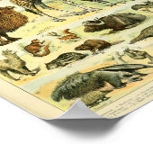 kleurenwilde zoogdieren afdrukken poster (Hoek)
