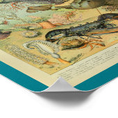  kleurenzeefdruk poster (Hoek)