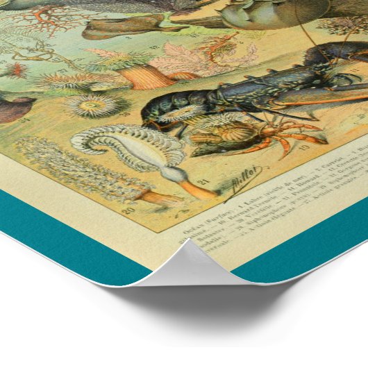 kleurenzeefdruk poster (Hoek)