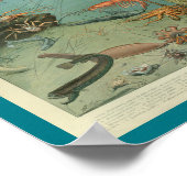 kleurenzeefdruk poster (Hoek)