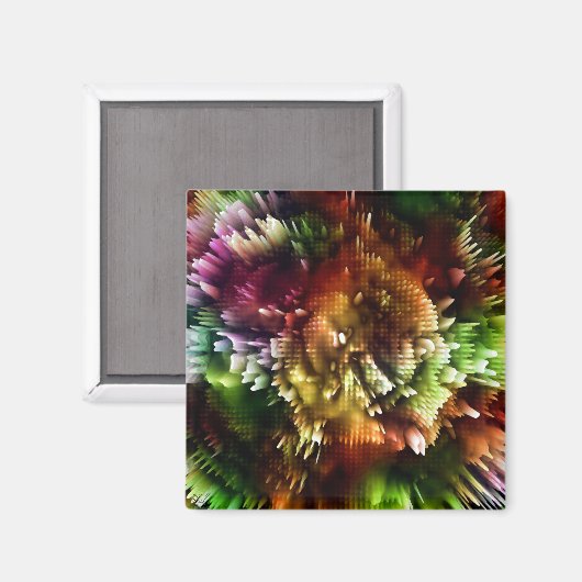 Kleurexplosie Magneet (Voorkant / Achterkant)