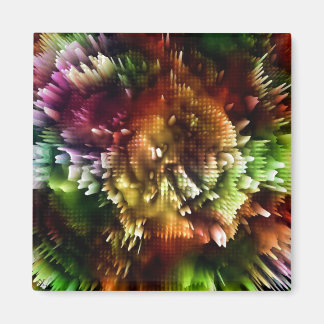 Kleurexplosie Magneet