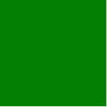 kleurgroen staand fotobeeldje<br><div class="desc">kleur groen 008000</div>