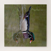 Kleurhouteend Legpuzzel (Horizontaal)