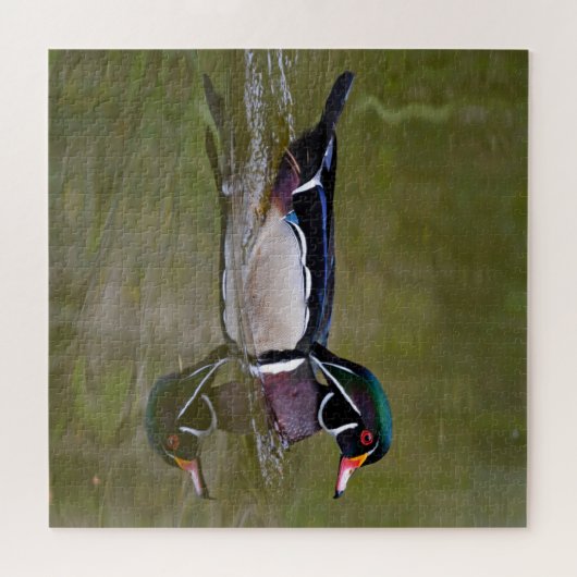 Kleurhouteend Legpuzzel (Horizontaal)