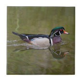 Kleurhouteend Tegeltje (Voorkant)