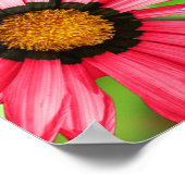 Kleurig bloemontwerp voor gerbera poster (Hoek)