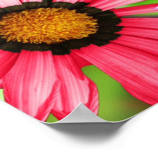 Kleurig bloemontwerp voor gerbera poster (Hoek)