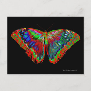 Kleurig Butterfly-ontwerp tegen zwarte achtergrond Briefkaart