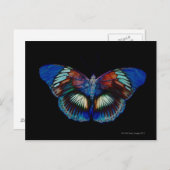 Kleurig Butterfly-ontwerp tegen zwarte achtergrond Briefkaart (Voorkant / Achterkant)