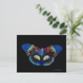 Kleurig Butterfly-ontwerp tegen zwarte achtergrond Briefkaart (Staand voorkant)