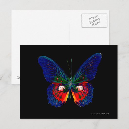 Kleurig Butterfly-ontwerp tegen zwarte achtergrond Briefkaart (Voorkant / Achterkant)
