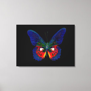 Kleurig Butterfly-ontwerp tegen zwarte achtergrond Canvas Afdruk