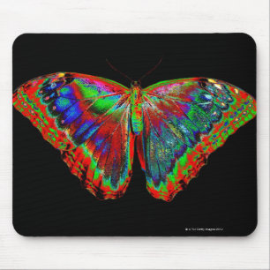 Kleurig Butterfly-ontwerp tegen zwarte achtergrond Muismat