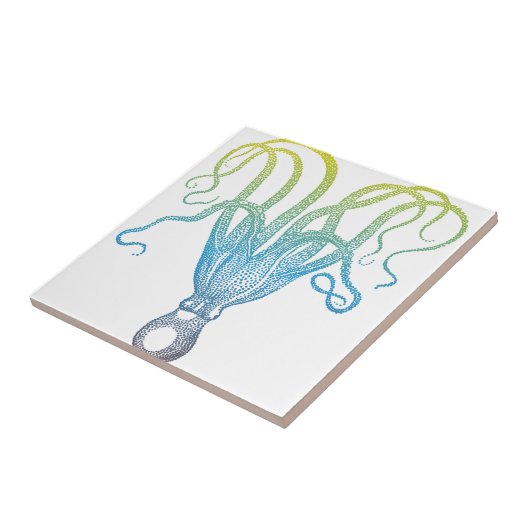 kleurig octopus silhouet tegeltje (Zijkant)