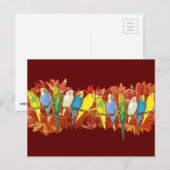 Kleurig patroon briefkaart (Voorkant / Achterkant)