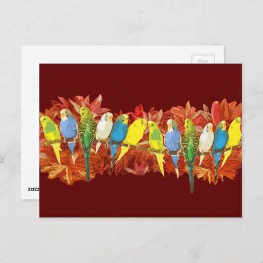 Kleurig patroon briefkaart (Voorkant / Achterkant)