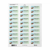 Kleurig Retouradres Zeemeermin Zeehond Etiket (Full Sheet)