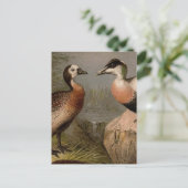 Kleurig schilderij van eenden briefkaart (Staand voorkant)