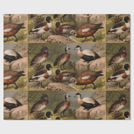 Kleurig schilderij van eenden cadeaupapier (Vlak)