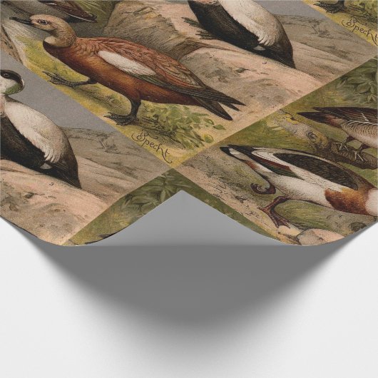 Kleurig  schilderij van eenden cadeaupapier (Hoek)