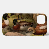 Kleurig schilderij van eenden Case-Mate iPhone case (Achterkant (horizontaal))