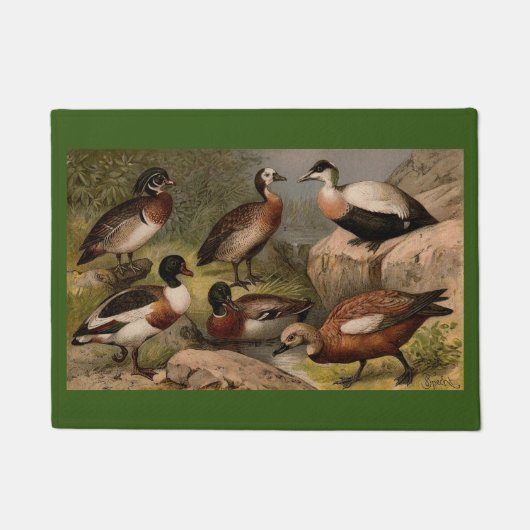 Kleurig  schilderij van eenden deurmat (Voorkant)