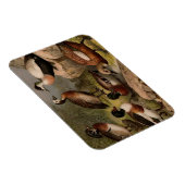 Kleurig  schilderij van eenden magneet (Rechterzijde)