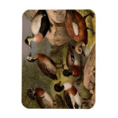 Kleurig  schilderij van eenden magneet (Verticaal)